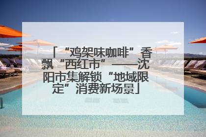 “鸡架味咖啡”香飘“西红市”——沈阳市集解锁“地域限定”消费新场景