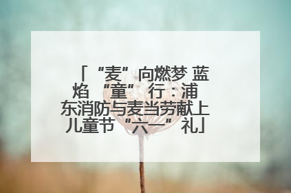 “麦”向燃梦 蓝焰 “童” 行：浦东消防与麦当劳献上儿童节“六一”礼