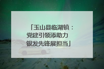 玉山县临湖镇：党建引领添助力 银发先锋展担当