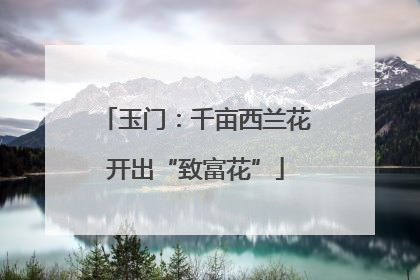 玉门：千亩西兰花开出“致富花”