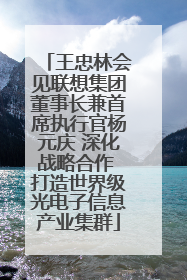 王忠林会见联想集团董事长兼首席执行官杨元庆 深化战略合作 打造世界级光电子信息产业集群