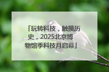 玩转科技，触摸历史，2025北京博物馆季科技月启幕