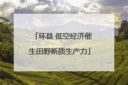 环县 低空经济催生田野新质生产力