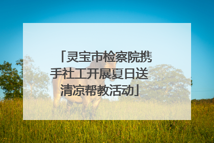 灵宝市检察院携手社工开展夏日送清凉帮教活动