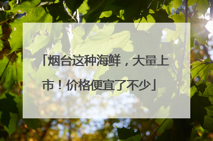 烟台这种海鲜，大量上市！价格便宜了不少