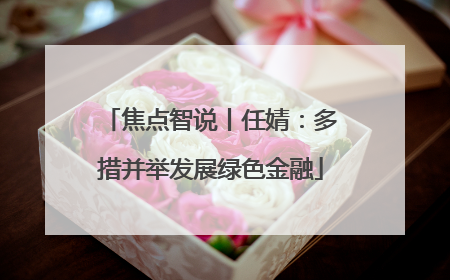 焦点智说丨任婧：多措并举发展绿色金融