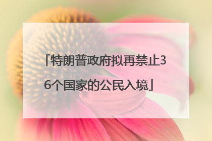 特朗普政府拟再禁止36个国家的公民入境