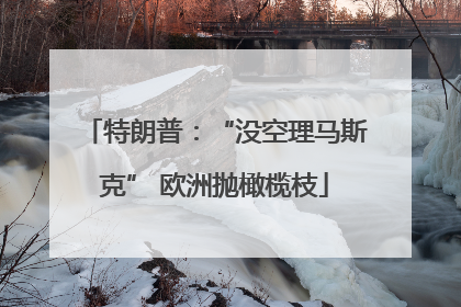 特朗普：“没空理马斯克” 欧洲抛橄榄枝