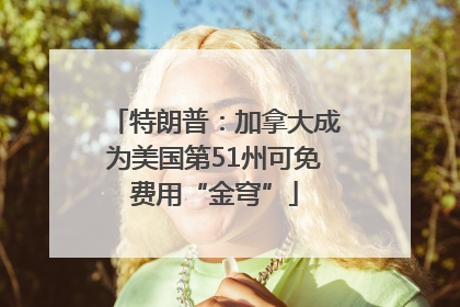 特朗普：加拿大成为美国第51州可免费用“金穹”