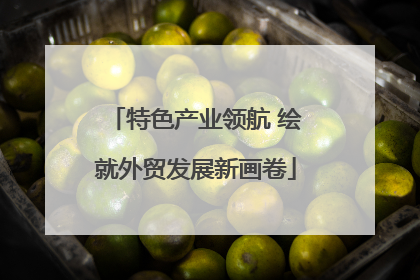 特色产业领航 绘就外贸发展新画卷