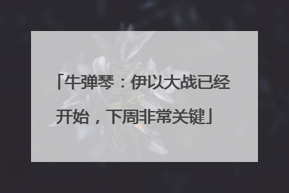 牛弹琴：伊以大战已经开始，下周非常关键