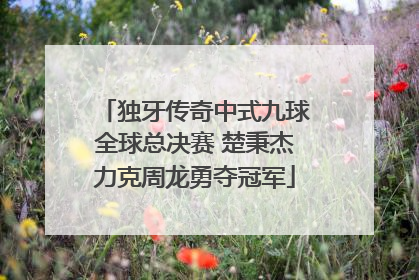 独牙传奇中式九球全球总决赛 楚秉杰力克周龙勇夺冠军