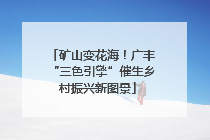 矿山变花海！广丰“三色引擎”催生乡村振兴新图景