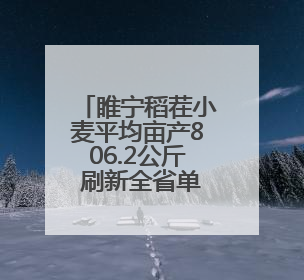 睢宁稻茬小麦平均亩产806.2公斤 刷新全省单产纪录