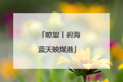 瞭望丨碧海蓝天映煤港