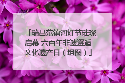 瑞昌范镇河灯节璀璨启幕 六百年非遗邂逅文化遗产日（组图）