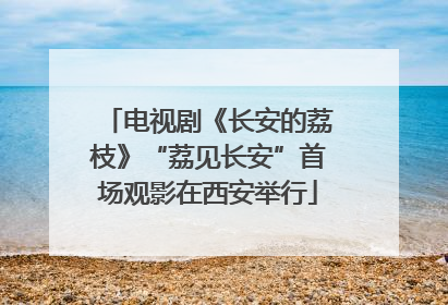 电视剧《长安的荔枝》“荔见长安”首场观影在西安举行