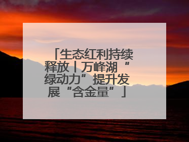 生态红利持续释放丨万峰湖“绿动力”提升发展“含金量”