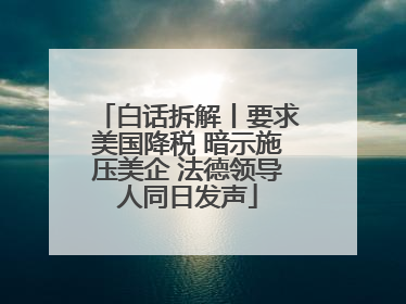 白话拆解丨要求美国降税 暗示施压美企 法德领导人同日发声