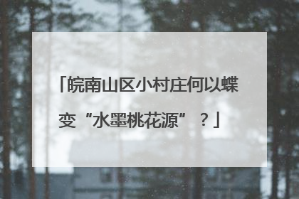 皖南山区小村庄何以蝶变“水墨桃花源”？