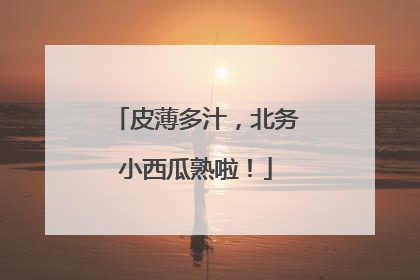 皮薄多汁，北务小西瓜熟啦！