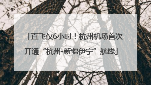 直飞仅6小时！杭州机场首次开通“杭州-新疆伊宁”航线