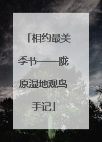 相约最美季节——陇原湿地观鸟手记