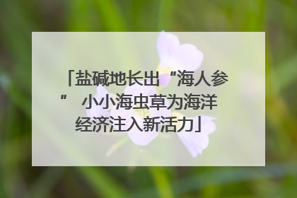 盐碱地长出“海人参” 小小海虫草为海洋经济注入新活力