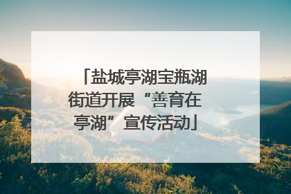盐城亭湖宝瓶湖街道开展“善育在亭湖”宣传活动