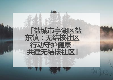 盐城市亭湖区盐东镇：无结核社区行动守护健康 ·共建无结核社区