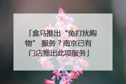 盒马推出“免打扰购物” 服务？南京已有门店推出此项服务