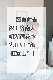 盛夏荷香浓！济南大明湖荷花率先开启“颜值暴击”