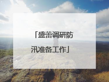 盛蕾调研防汛准备工作