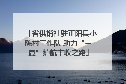 省供销社驻正阳县小陈村工作队 助力“三夏”护航丰收之路