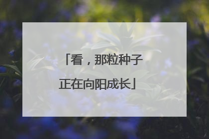 看，那粒种子正在向阳成长