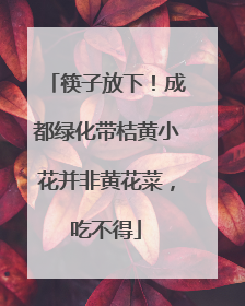 筷子放下！成都绿化带桔黄小花并非黄花菜，吃不得