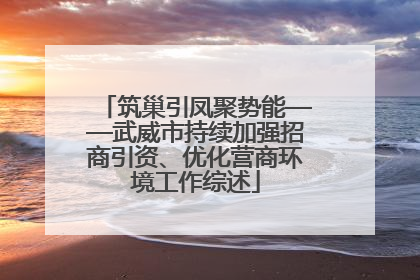 筑巢引凤聚势能——武威市持续加强招商引资、优化营商环境工作综述