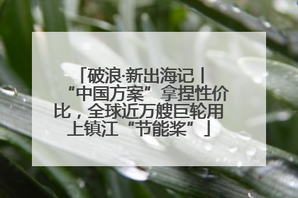 破浪·新出海记丨 “中国方案”拿捏性价比，全球近万艘巨轮用上镇江“节能桨”