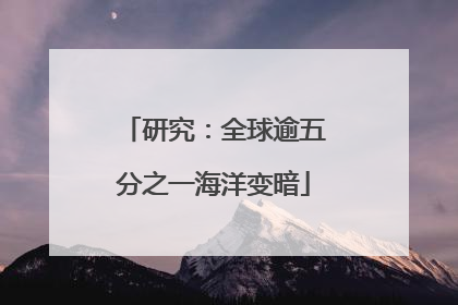 研究：全球逾五分之一海洋变暗