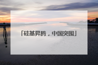 硅基昇腾，中国突围