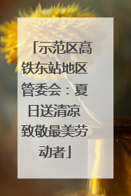 示范区高铁东站地区管委会：夏日送清凉 致敬最美劳动者