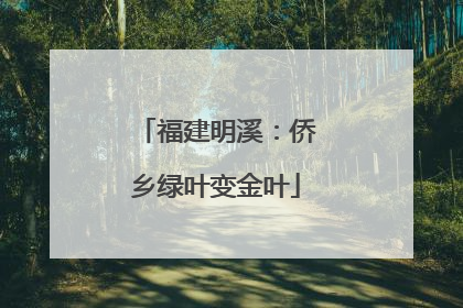 福建明溪：侨乡绿叶变金叶