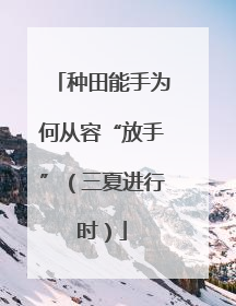 种田能手为何从容“放手”（三夏进行时）