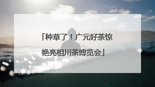 种草了！广元好茶惊艳亮相川茶博览会