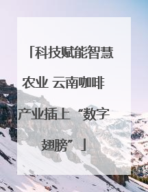 科技赋能智慧农业 云南咖啡产业插上“数字翅膀”