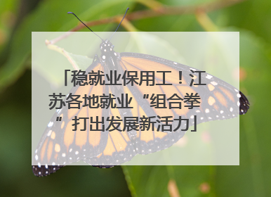 稳就业保用工！江苏各地就业“组合拳”打出发展新活力