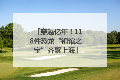 穿越亿年！118件恐龙“镇馆之宝”齐聚上海