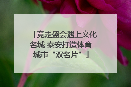 竞走盛会遇上文化名城 泰安打造体育城市“双名片”