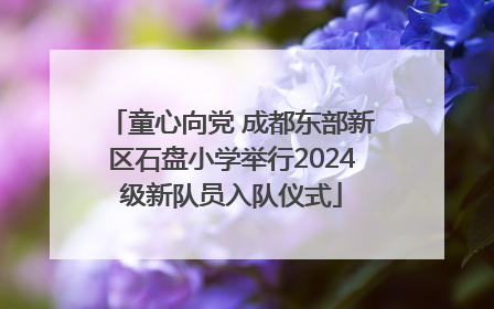 童心向党 成都东部新区石盘小学举行2024级新队员入队仪式