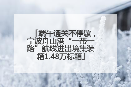 端午通关不停歇，宁波舟山港“一带一路”航线进出境集装箱1.48万标箱